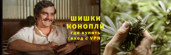 молекула духа Ладушкин
