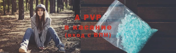 молекула духа Ладушкин