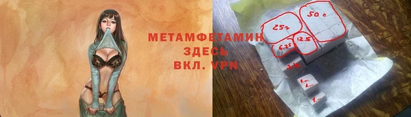 молекула духа Ладушкин