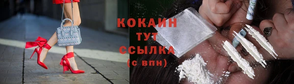 гашик Лагань