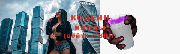 гашик Лагань