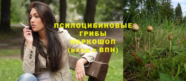 гашик Лагань