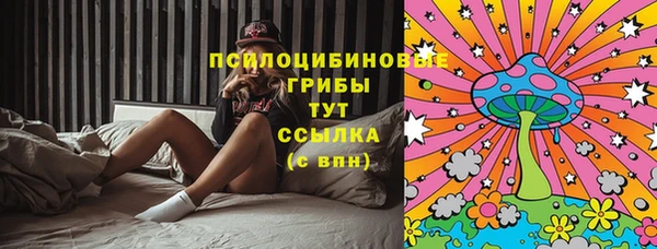 молекула духа Ладушкин