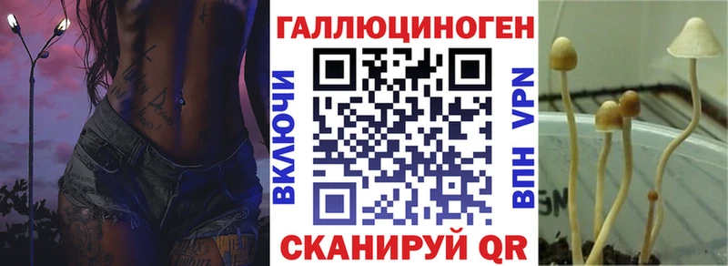 Купить где  Шиханы  Галлюциногенные грибы мухоморы 